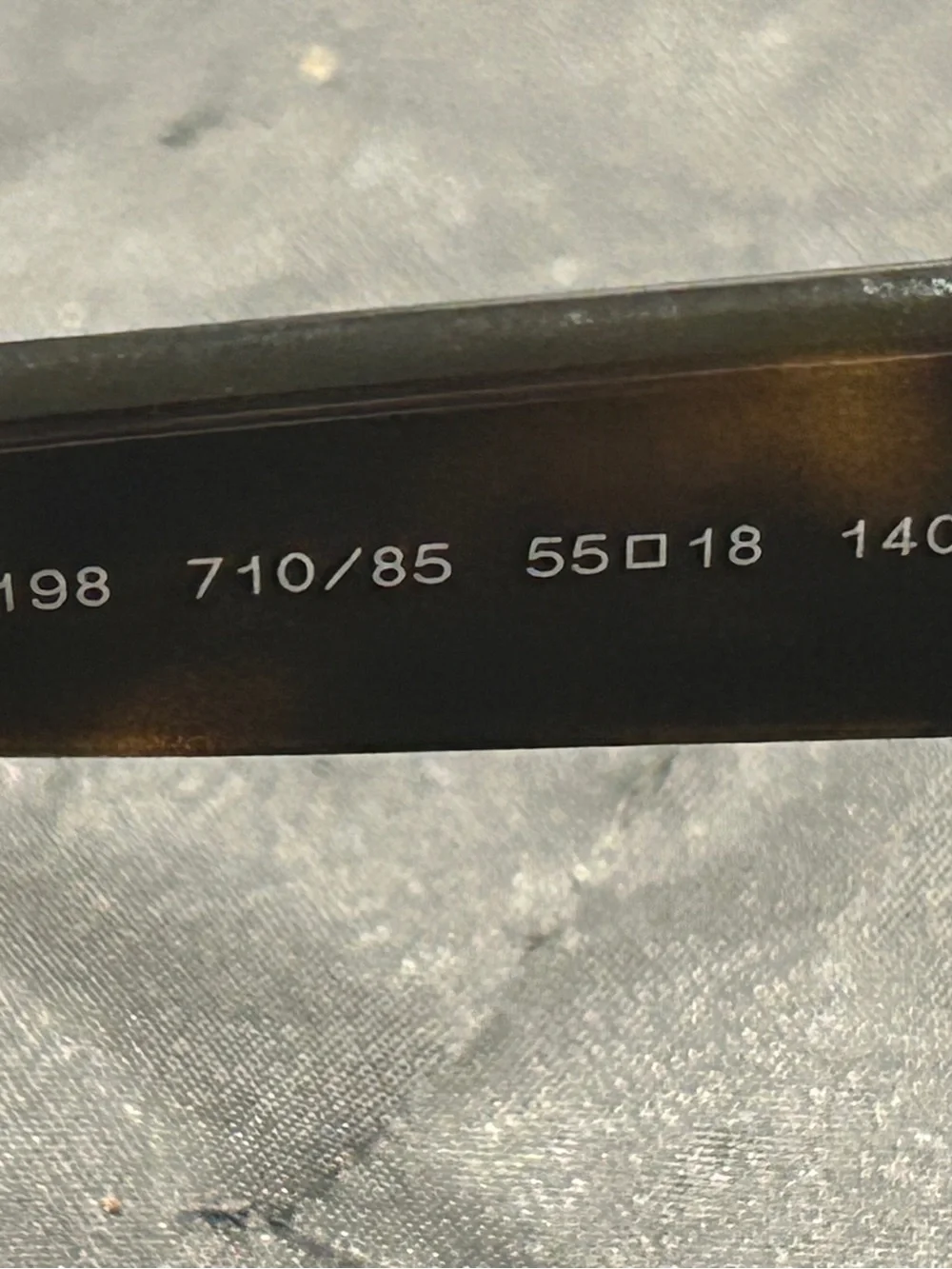 Ray-Ban sleek cat